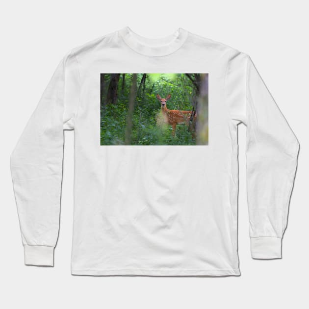 Forest Fawn - White-tailed deer Long Sleeve T-Shirt by Jim Cumming